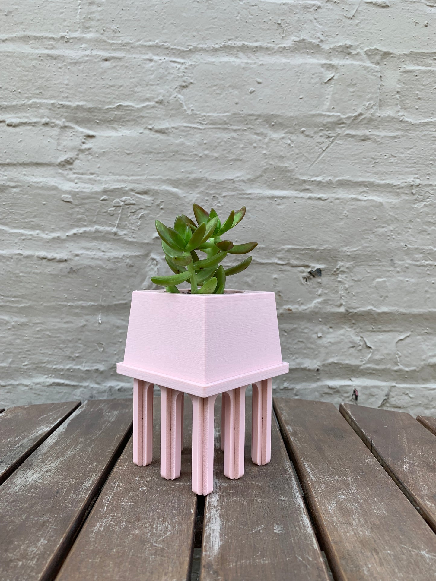 Plant Block - Petal Pink
